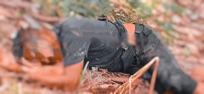 Petani tergeletak di kebun setelah duel berdarah akibat konflik agraria di Luwu