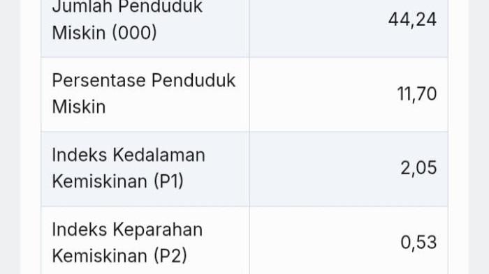 Grafik penurunan kemiskinan Luwu 2024 berdasarkan data BPS