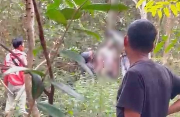 Siluet pohon di pagi hari dengan latar dramatis, melambangkan kasus bunuh diri gantung diri Luwu.
