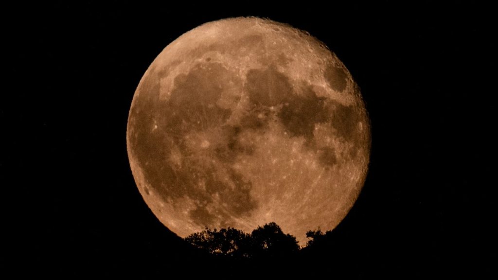 Bulan Purnama Harvest Moon besar di langit malam
